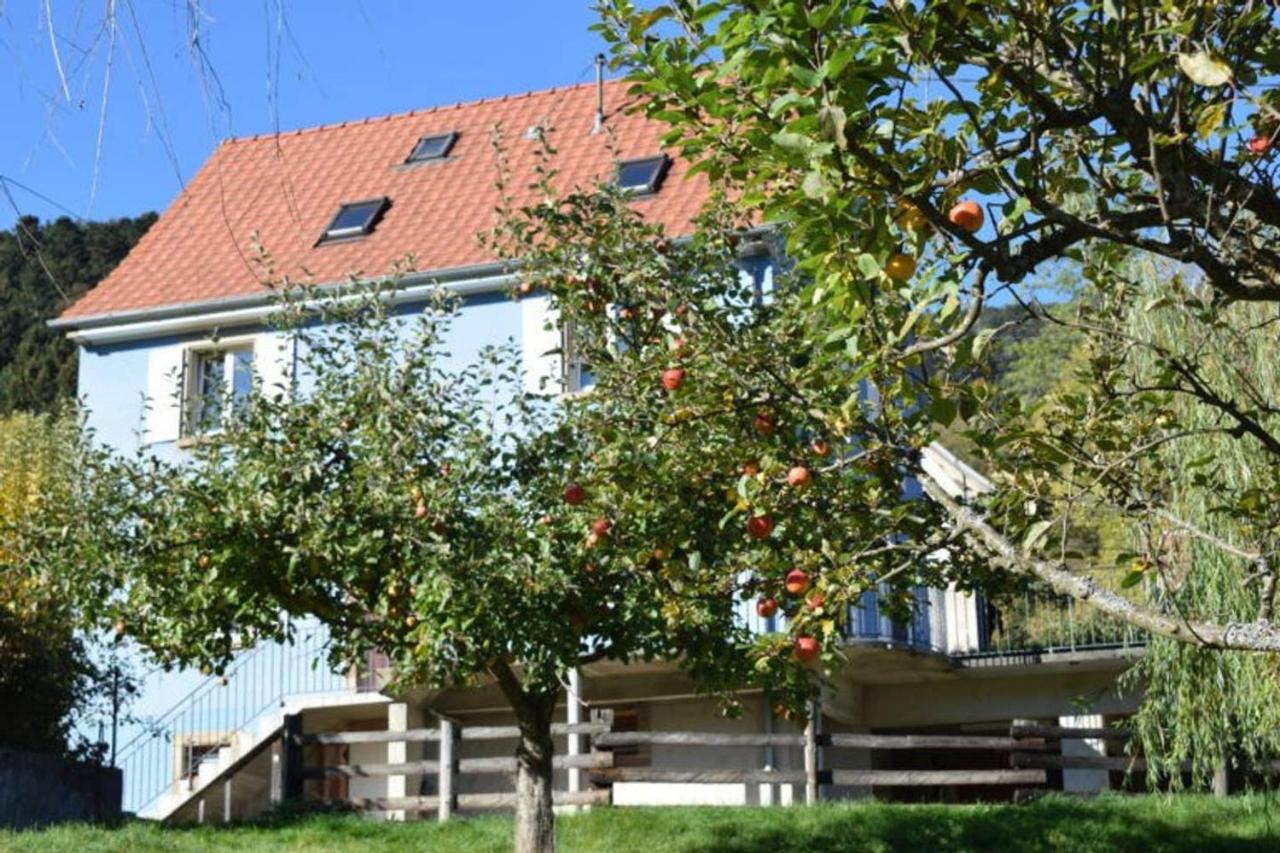 Les Locations De Stephanie ,Gite Le Verger Sondernach Exterior foto