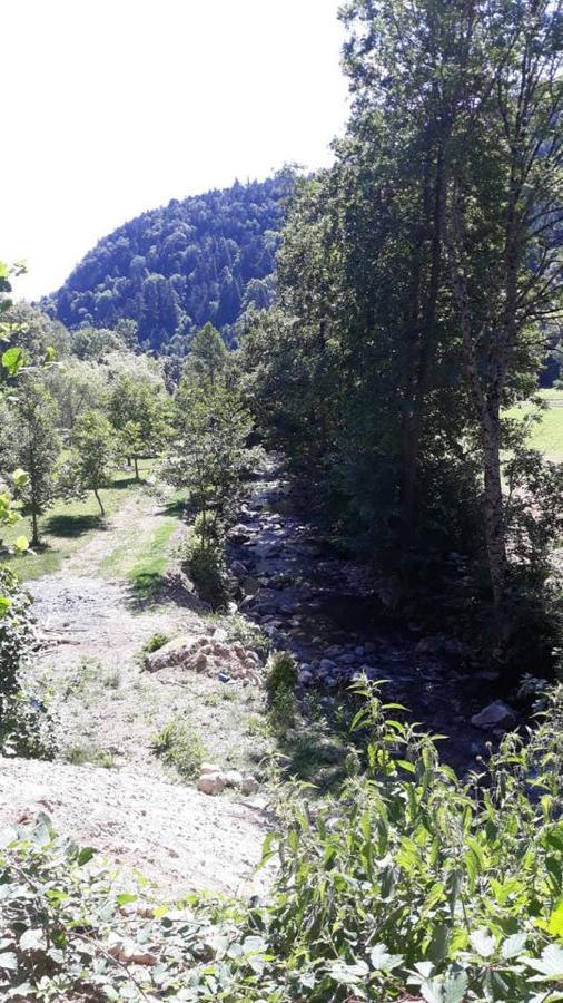 Les Locations De Stephanie ,Gite Le Verger Sondernach Exterior foto