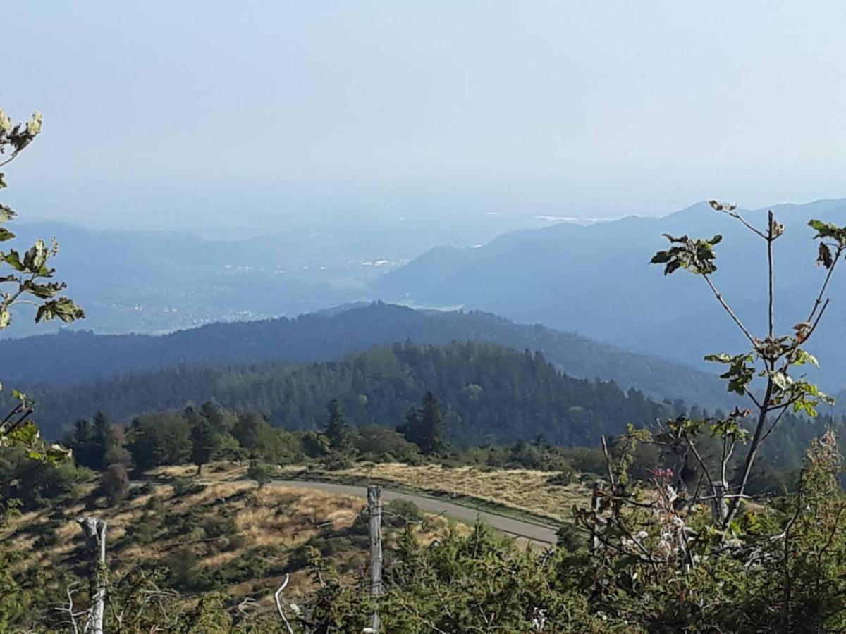 Les Locations De Stephanie ,Gite Le Verger Sondernach Exterior foto