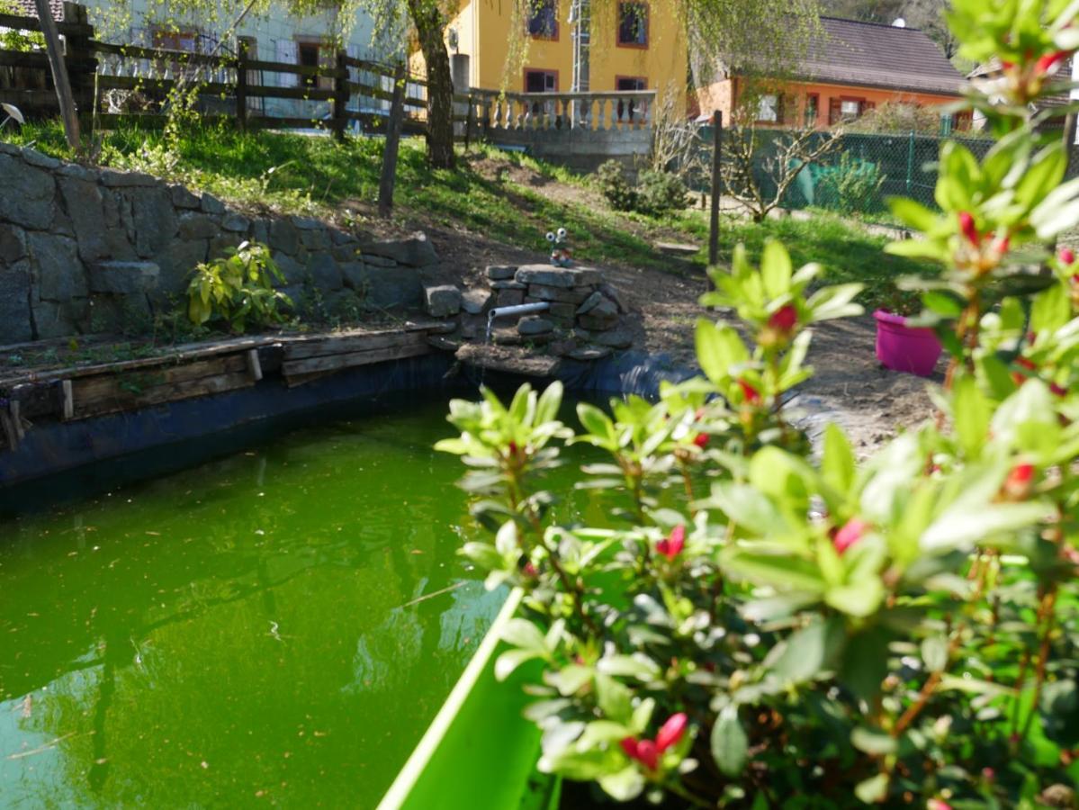Les Locations De Stephanie ,Gite Le Verger Sondernach Exterior foto