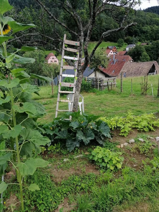 Les Locations De Stephanie ,Gite Le Verger Sondernach Exterior foto