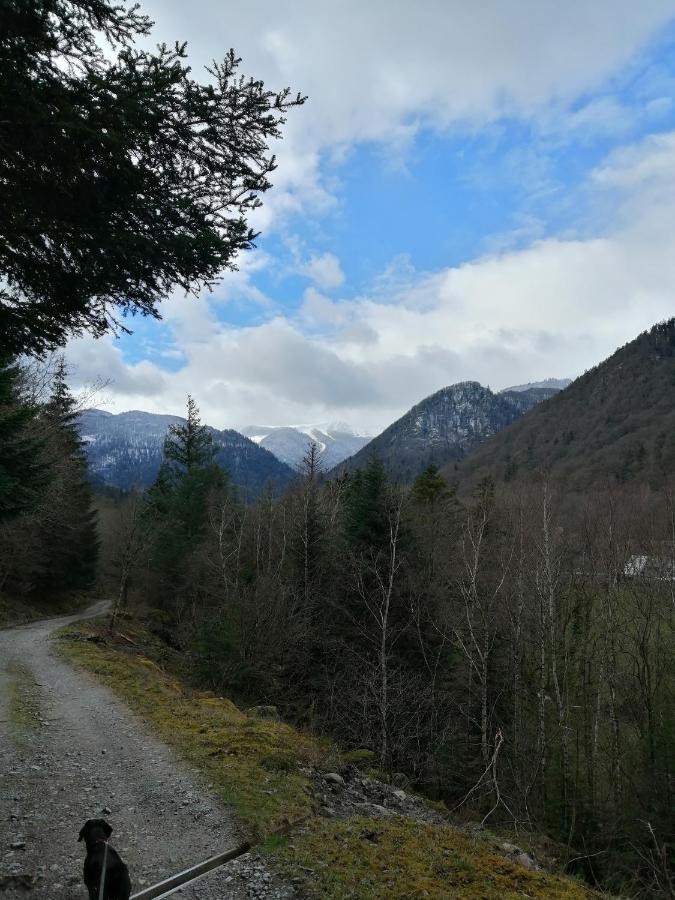 Les Locations De Stephanie ,Gite Le Verger Sondernach Exterior foto